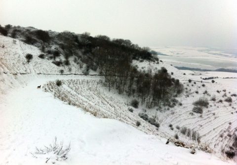 The South Downs near Kingston in the snow